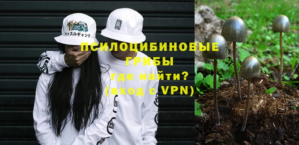 мет Пестово