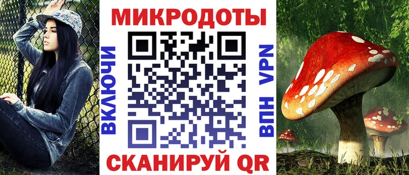 Галлюциногенные грибы Psilocybe купить наркотики цена МЕГА ссылка Покачи